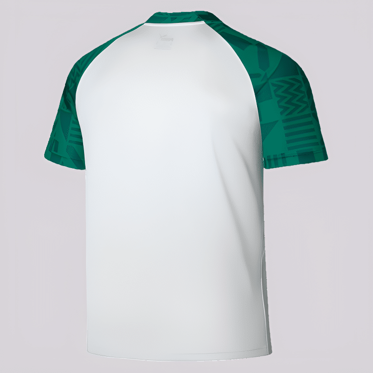 Camisa Palmeiras Pré-jogo I - 2023