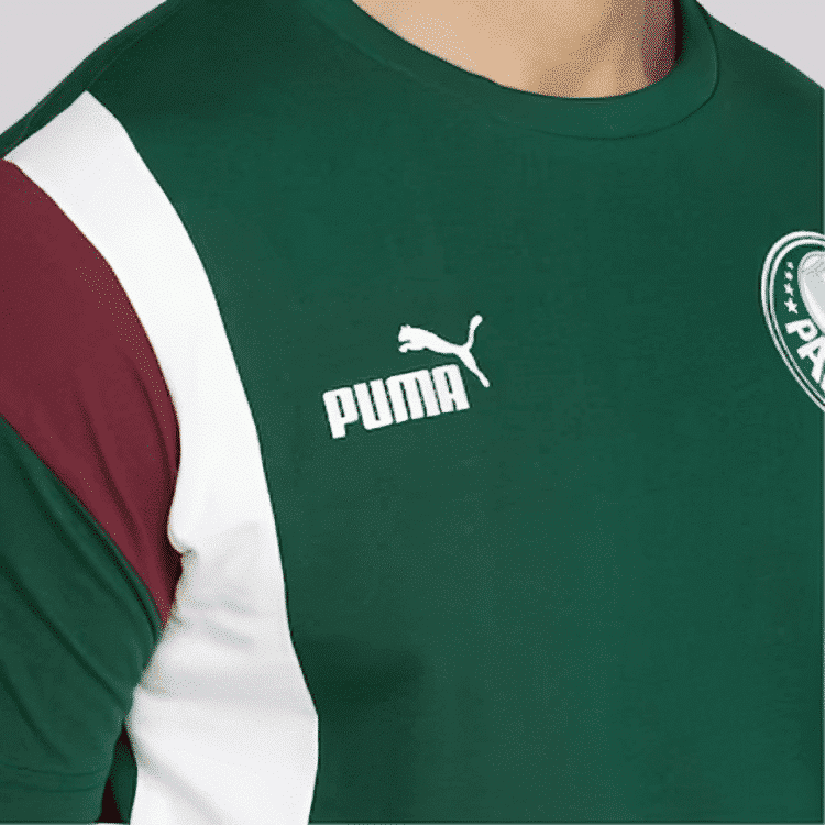 Camisa Palmeiras Pré-jogo II - 2023