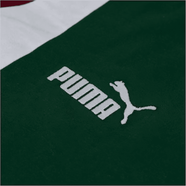 Camisa Palmeiras Pré-jogo II - 2023