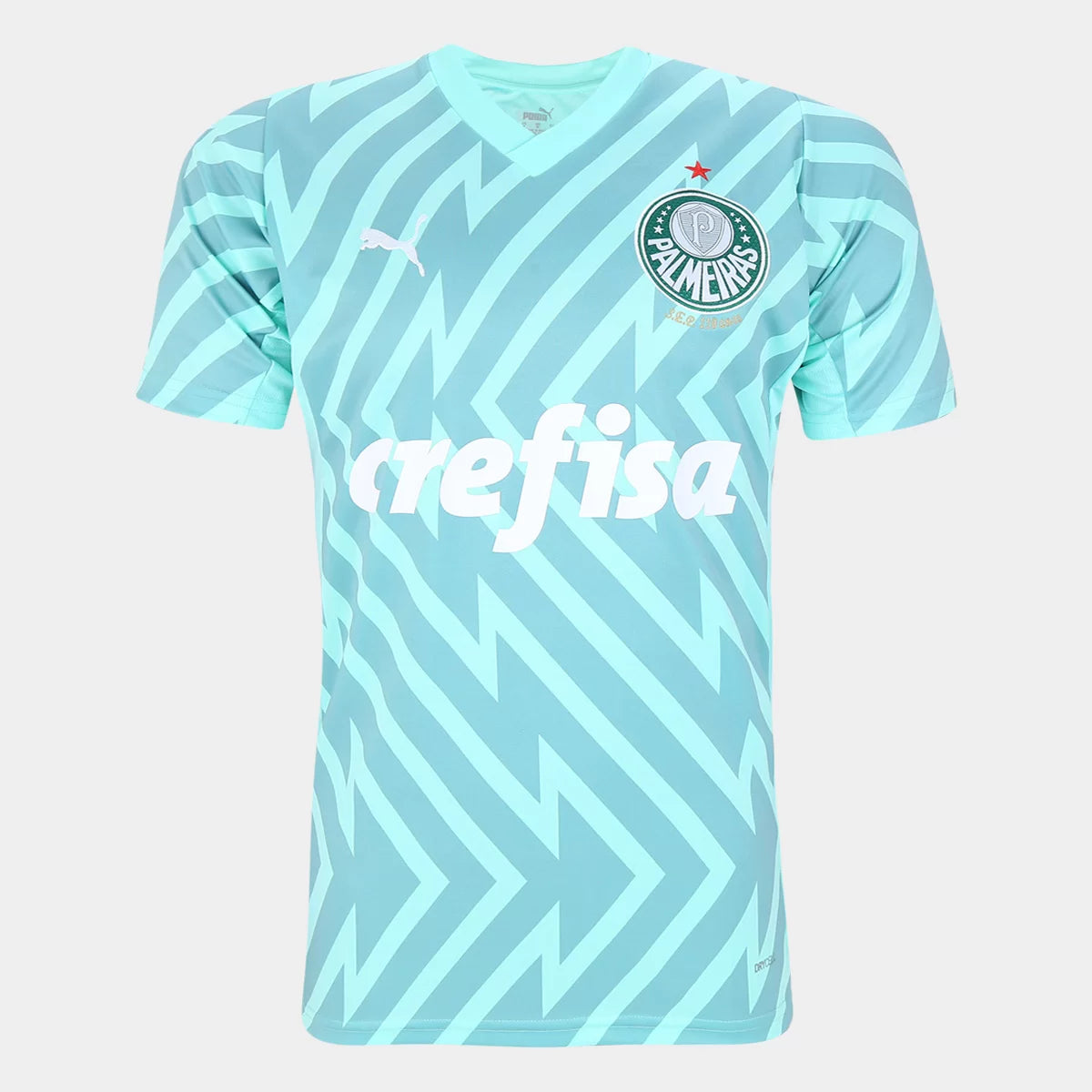 Camisa Palmeiras Goleiro - 2024