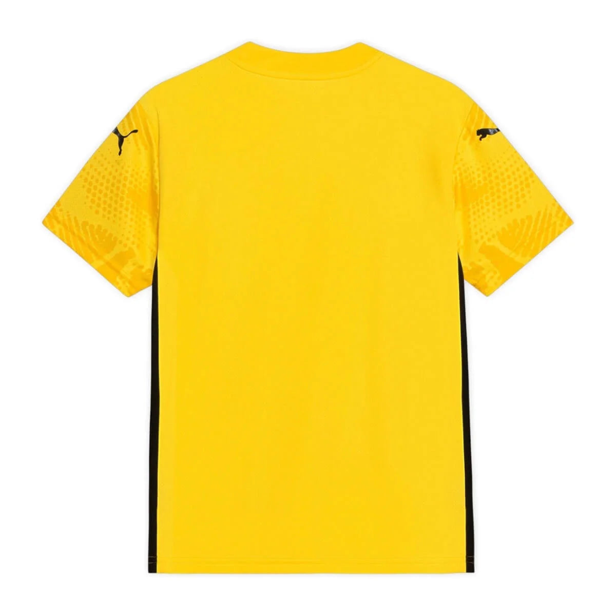 Camisa Bahia Goleiro Amarela - 2025/26