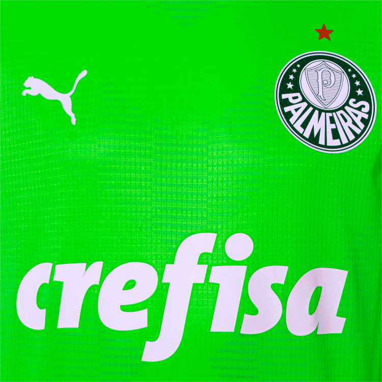 Camisa Palmeiras Goleiro II - 2023