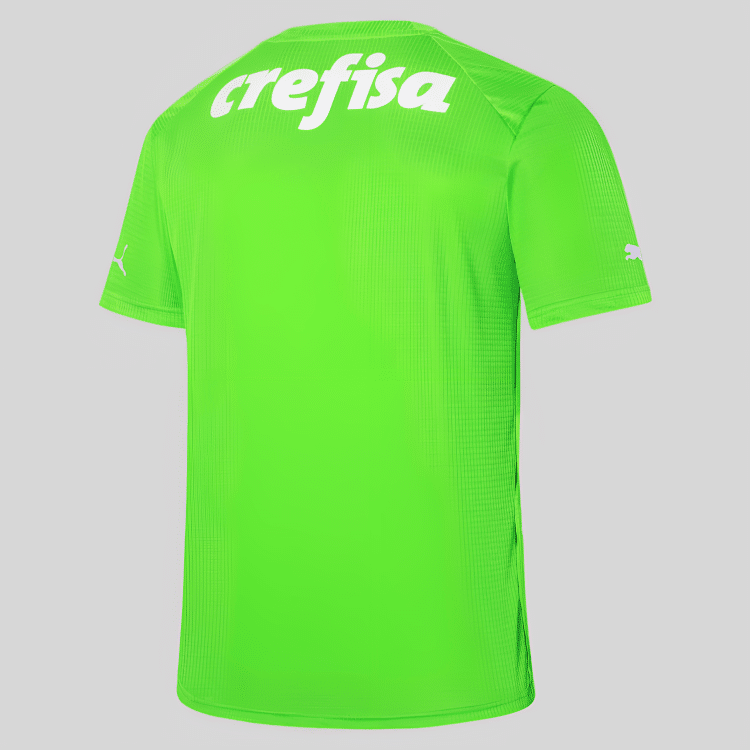 Camisa Palmeiras Goleiro II - 2023
