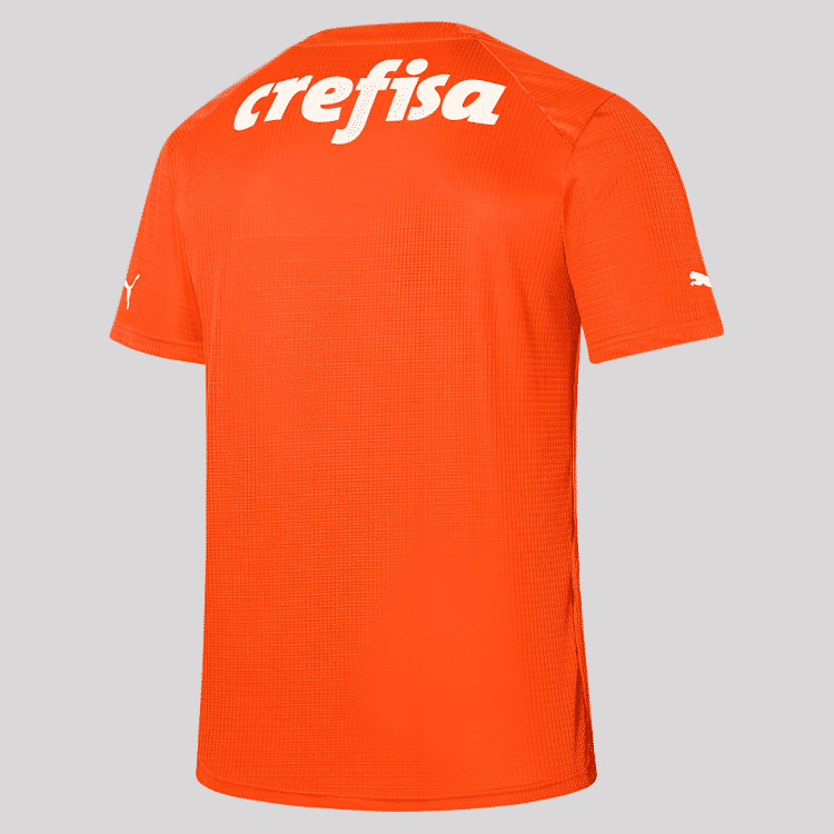 Camisa Palmeiras Goleiro III - 2023