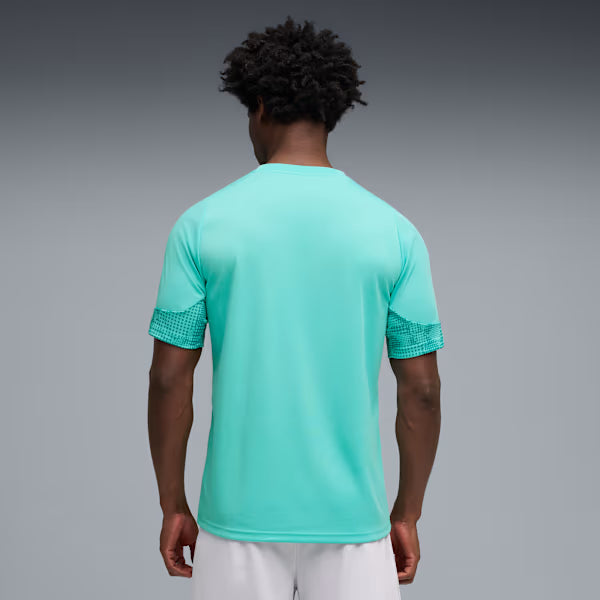 Camisa Palmeiras Treino - 2026/27