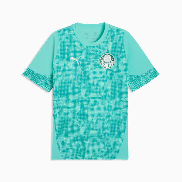 Camisa Palmeiras Goleiro III - 2026/27