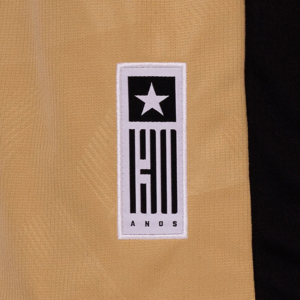 Camisa Botafogo Goleiro II - 2024