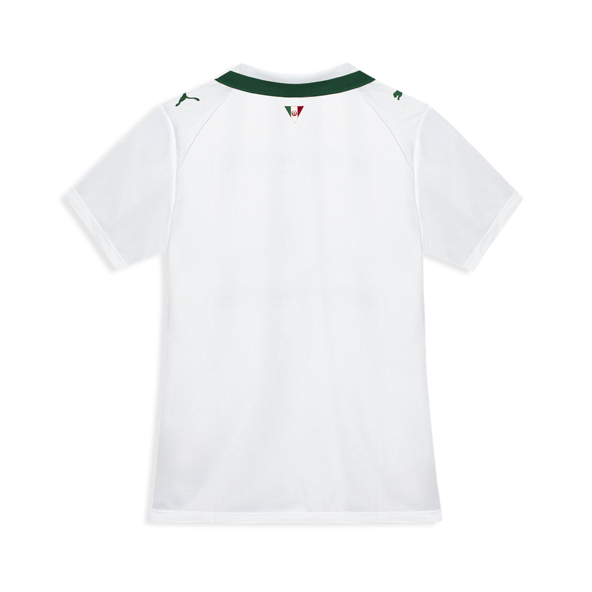 Camisa Palmeiras II - 2026/27 Feminina