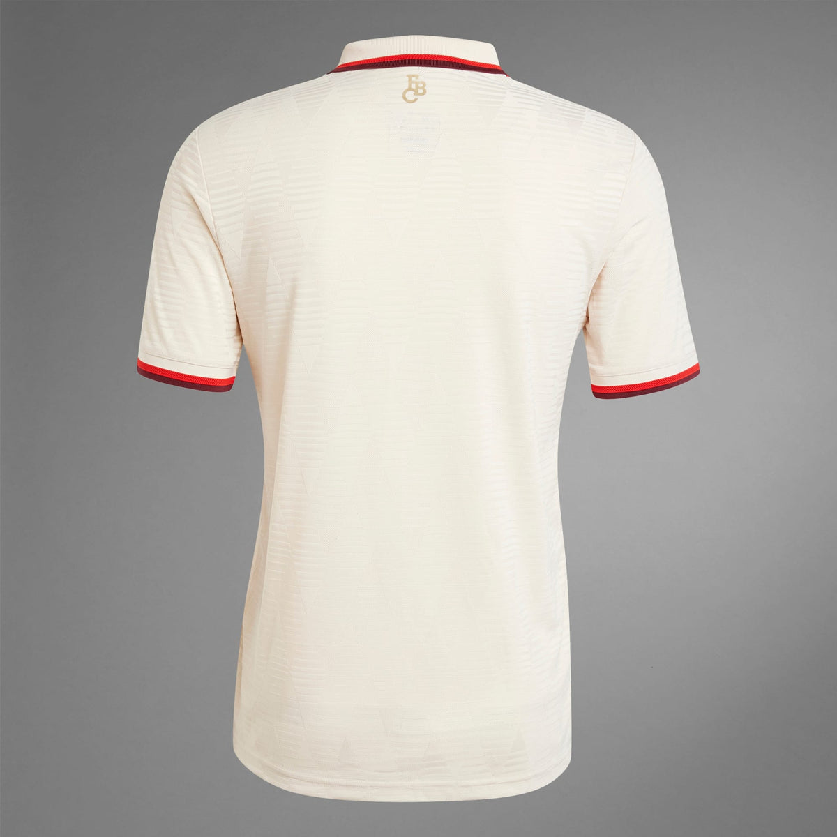 Camisa Bayern de Munique III Versão Jogador - 2024