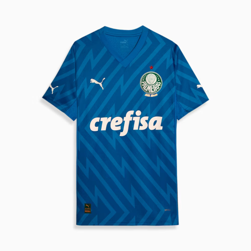 Camisa Palmeiras Goleiro Azul - 2024
