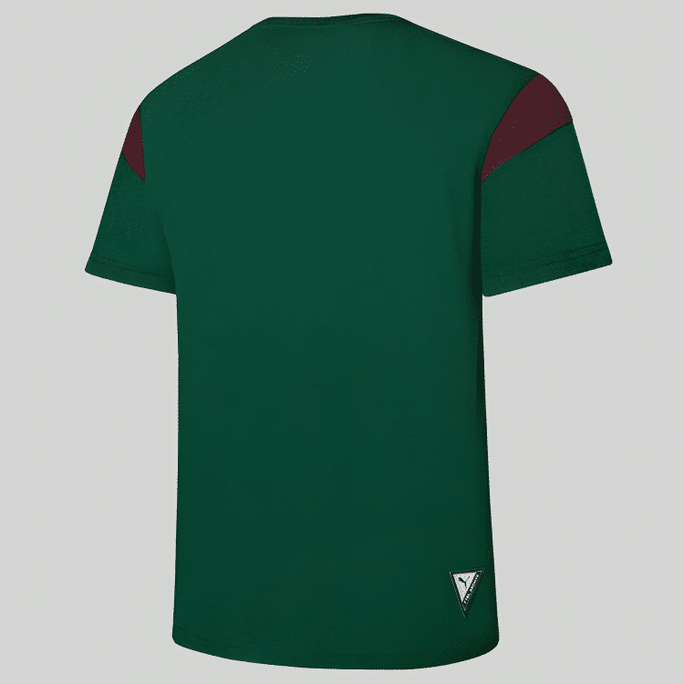Camisa Palmeiras Pré-jogo II - 2023