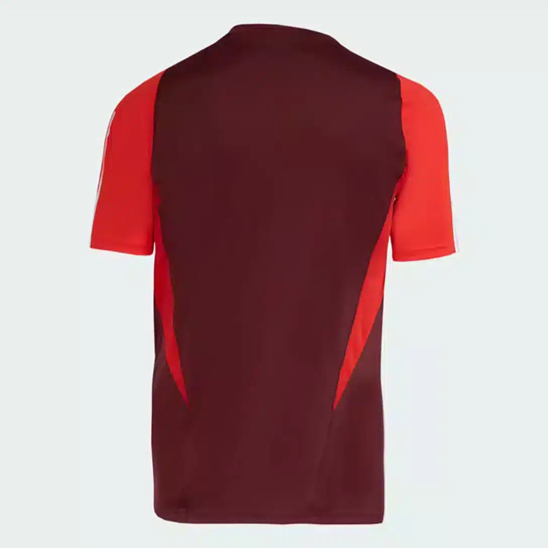 Camisa Internacional Comissão Técnica - 2024