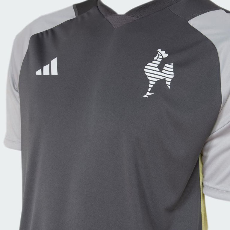 Camisa Atlético Mineiro Treino - 2024/25