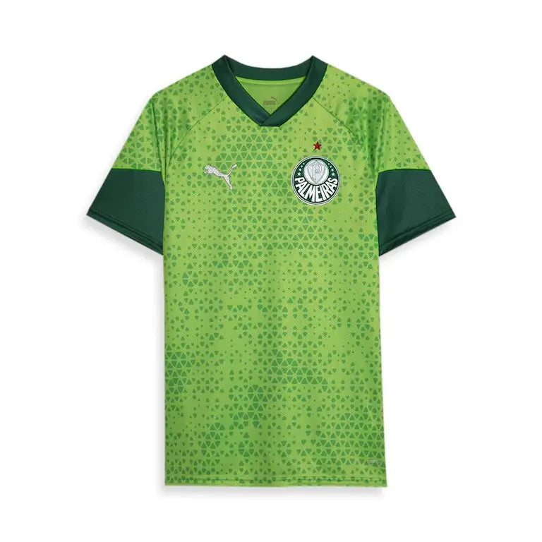 Camisa Palmeiras Treino II - 2024