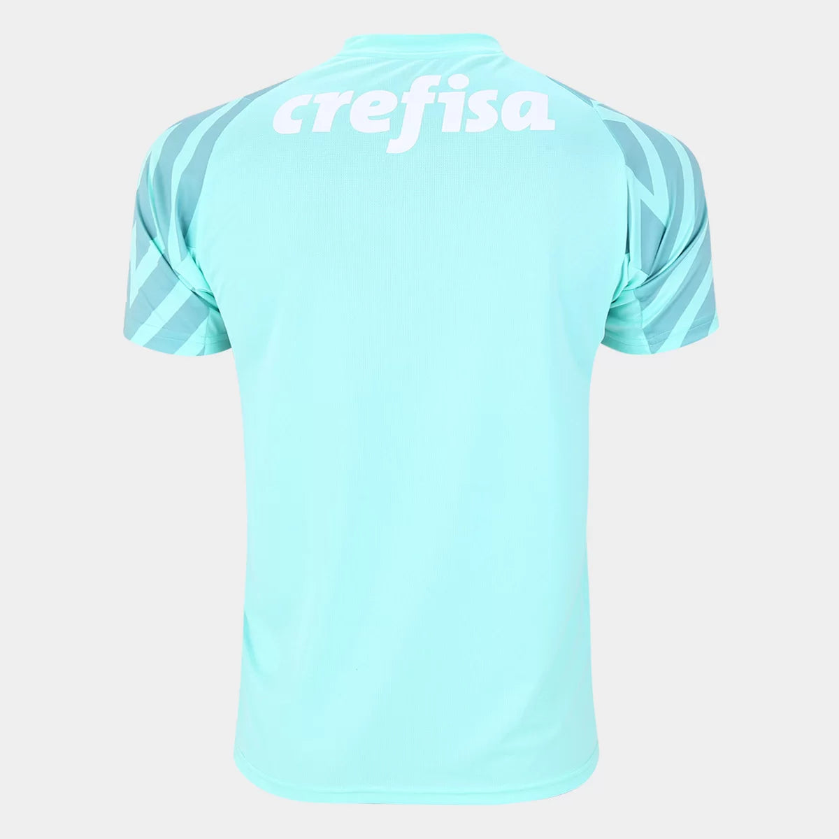 Camisa Palmeiras Goleiro - 2024