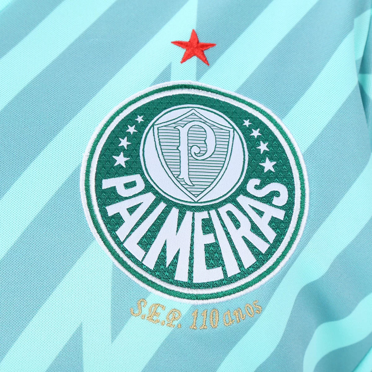 Camisa Palmeiras Goleiro - 2024