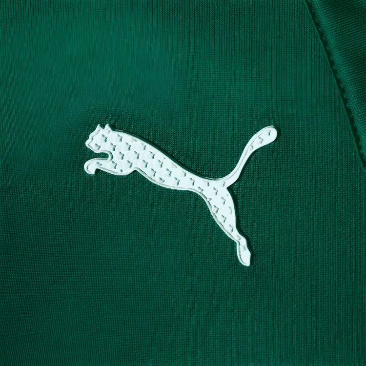 Camisa Palmeiras - Edição Especial 2023