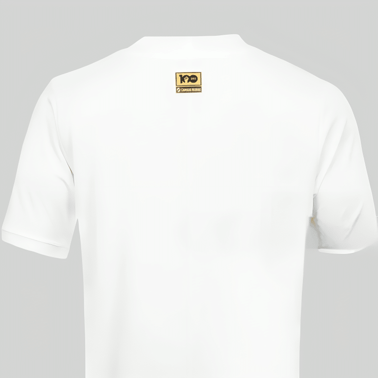 Camisa Vasco Goleiro II - 2023