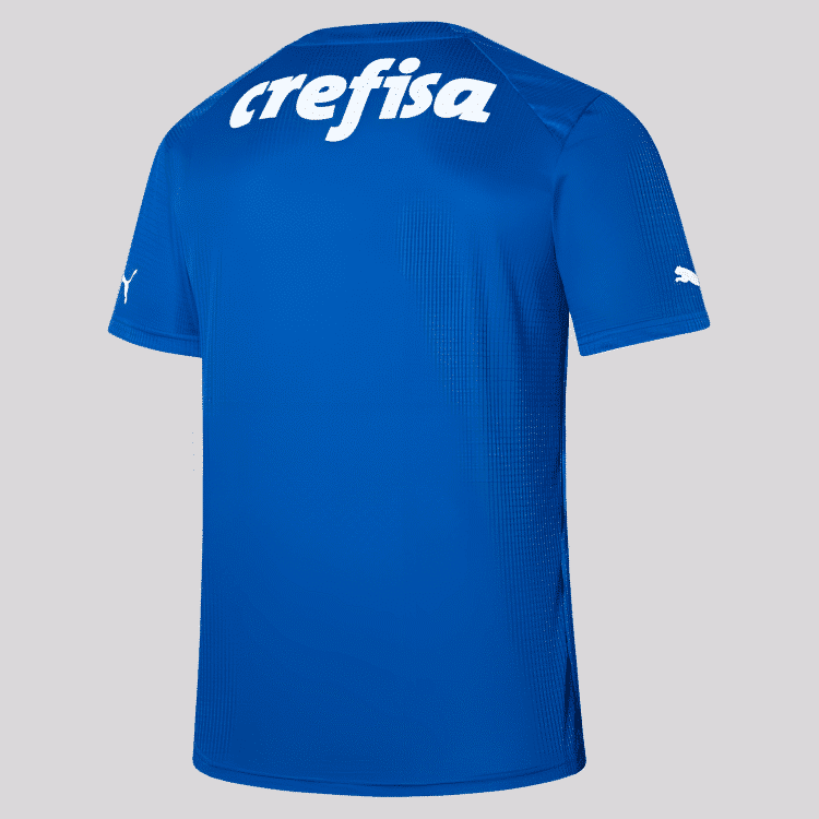Camisa Palmeiras Goleiro I - 2023
