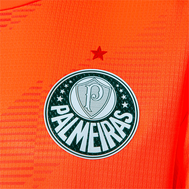 Camisa Palmeiras Goleiro III - 2023
