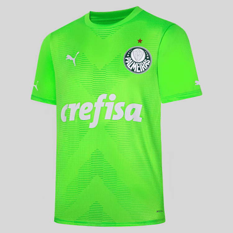 Camisa Palmeiras Goleiro II - 2023