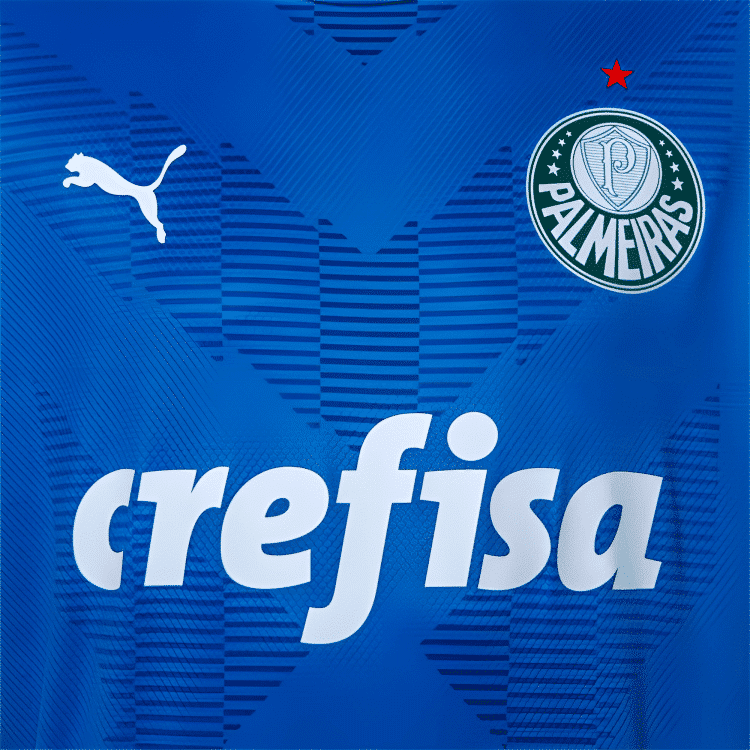 Camisa Palmeiras Goleiro I - 2023