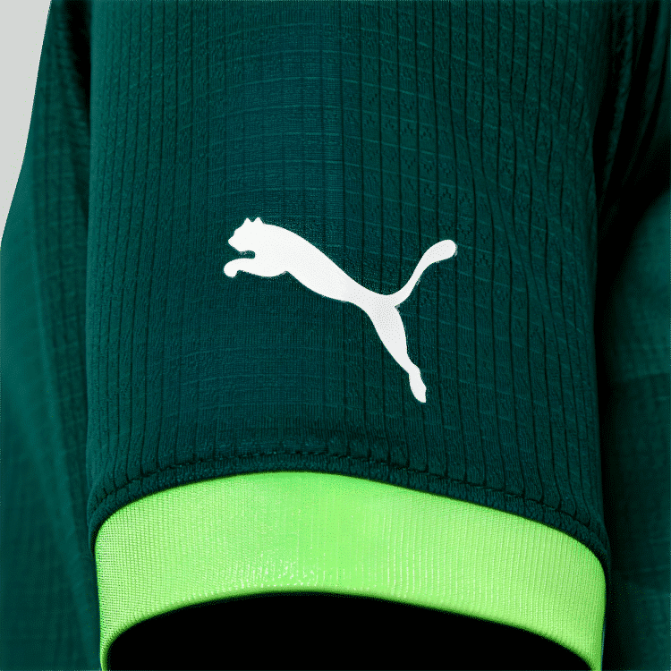 Camisa  Palmeiras I - 2023