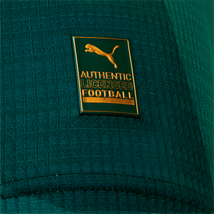 Camisa  Palmeiras I - 2023