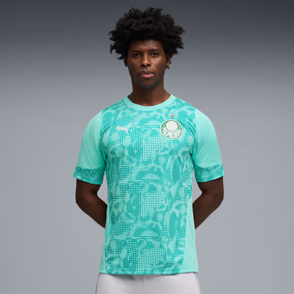 Camisa Palmeiras Treino - 2026/27
